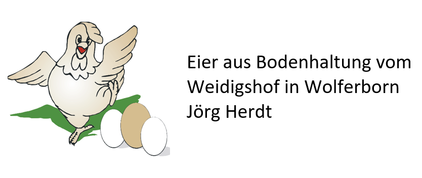 Eier vom Weidigshof